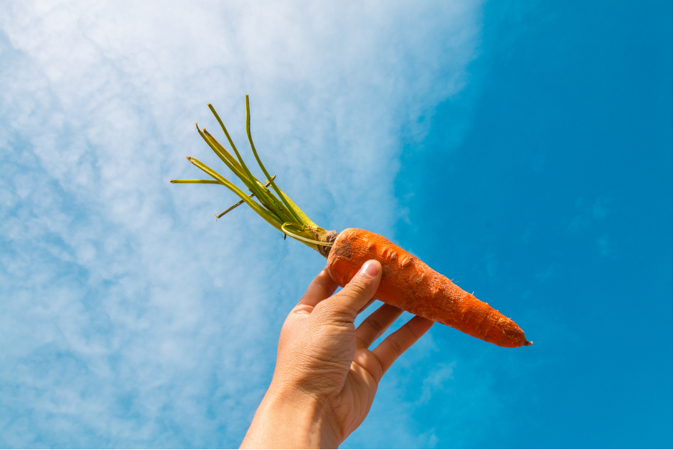Bienfaits de la carotte